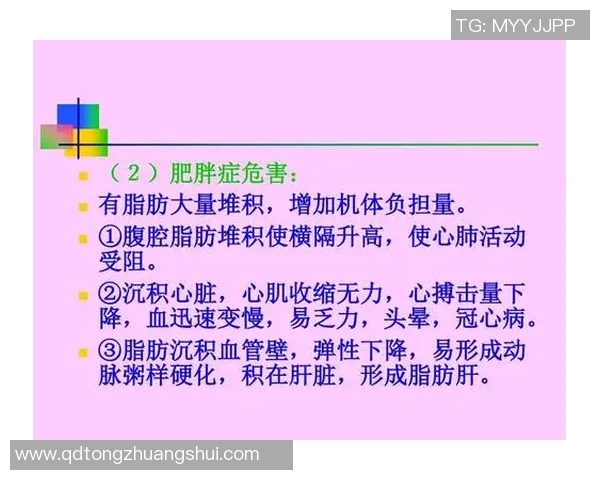 全面提升体能与健康的秘密武器:有氧运动的科学原理与实战技巧 全面提升体能与健康的秘密武器:有氧运动的科学原理与实战技巧