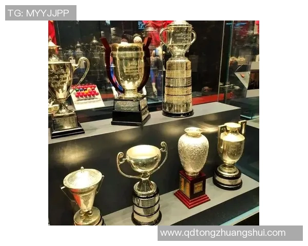 奖杯背后的荣耀与坚持：从竞技到人生的象征意义探讨